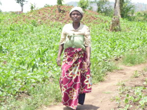 Challenges faced by small holder farmers in Uganda and how they can be addressed